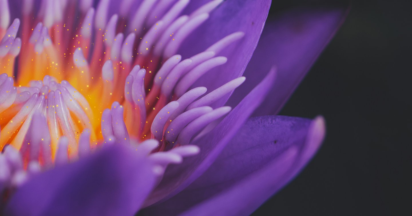 The Bhakti Path